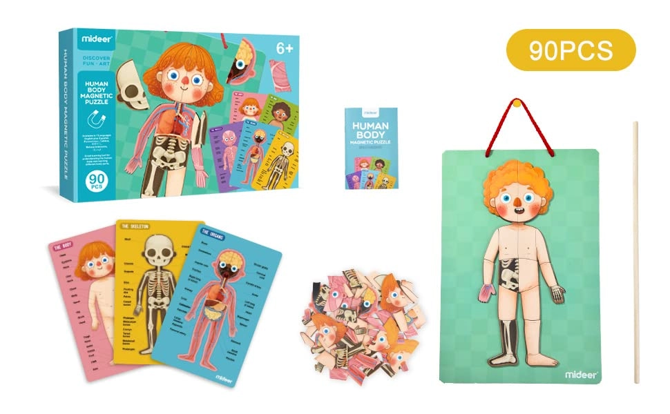 Human Body Puzzle Human Anatomy - 6 years+ 90 pieces
