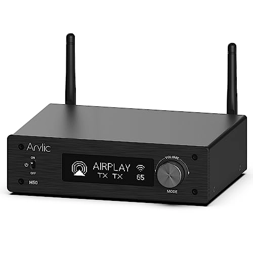Arylic H50 - 50W*2