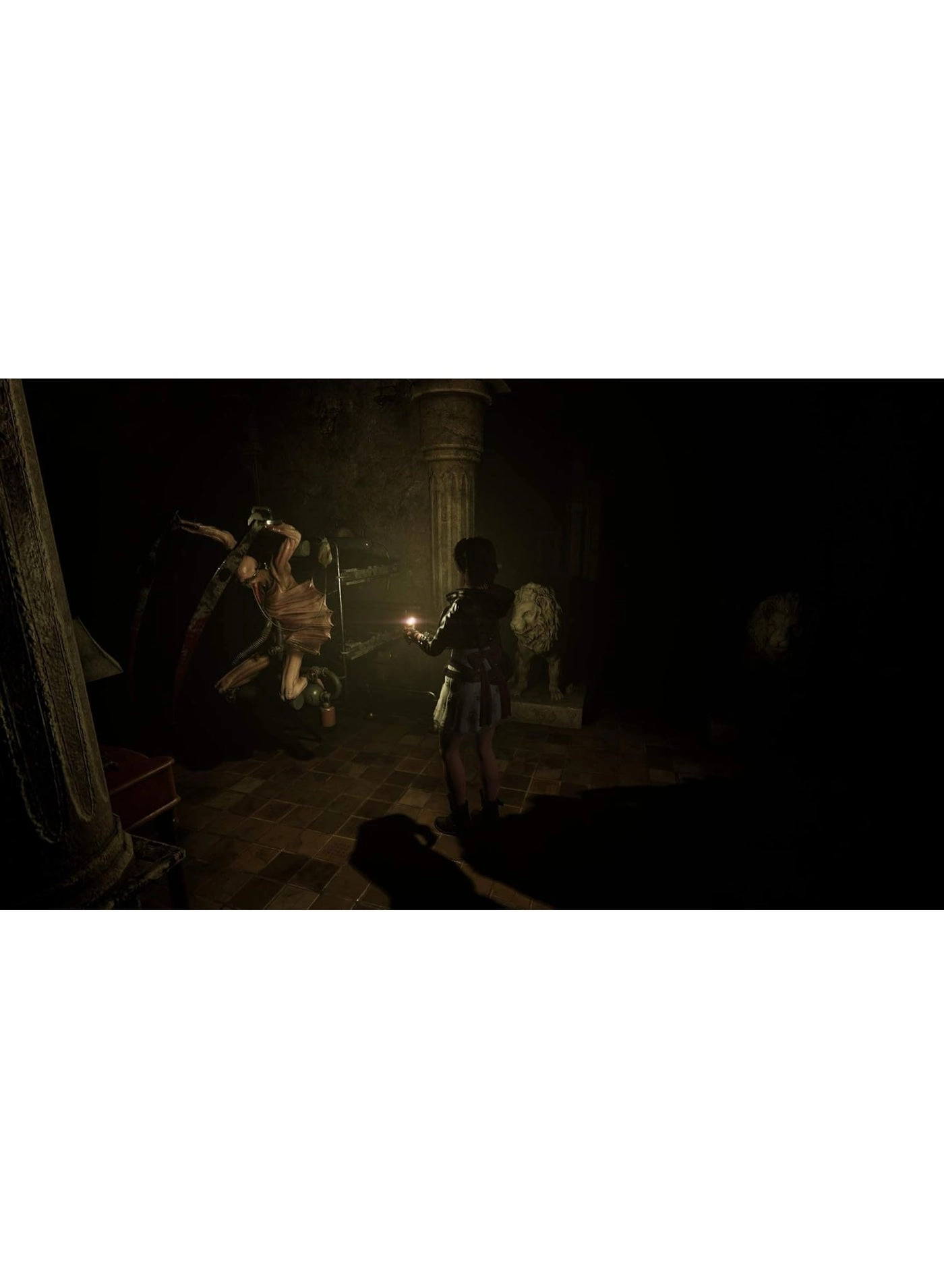 Tormented Souls | PS5
