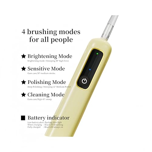 Sonic Toothbrush - 3 Brush Heads 4 Adjustable Modes 90 Days Battery