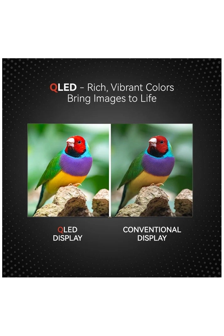 ST75KQ-AZ2300WEB - 75 in