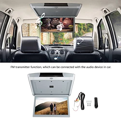 Car Roof Monitor - 15.6in