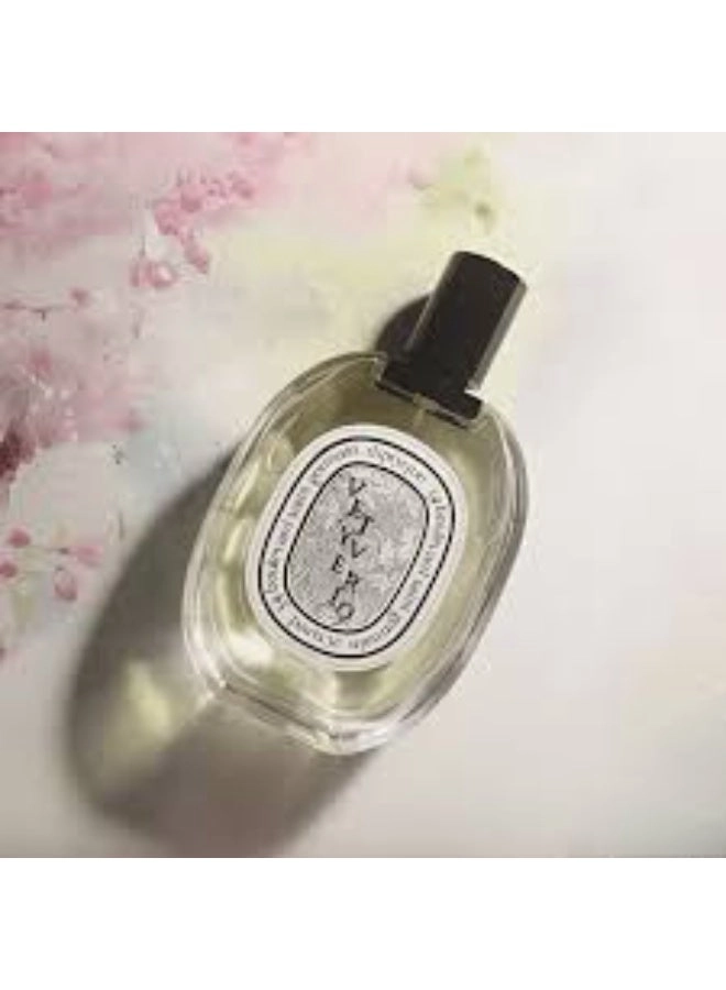 Vetyverio Eau de Toilette 50ml