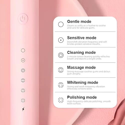 Sonic Electric Toothbrush - USB Rechargeable 4 Brush Heads 6 Cleaning Modes