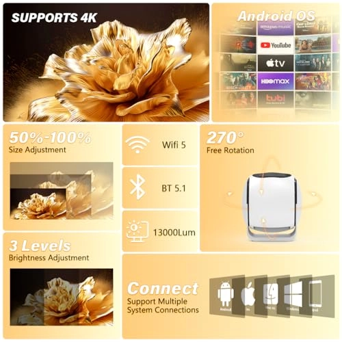 Smart Projector Standard 13000 Lumen