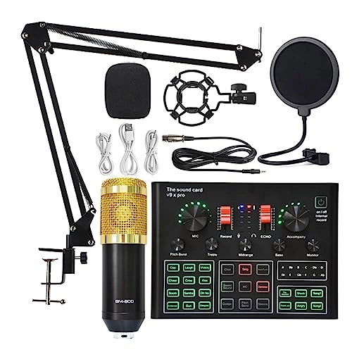 BM 800 Wireless+USB Microphone