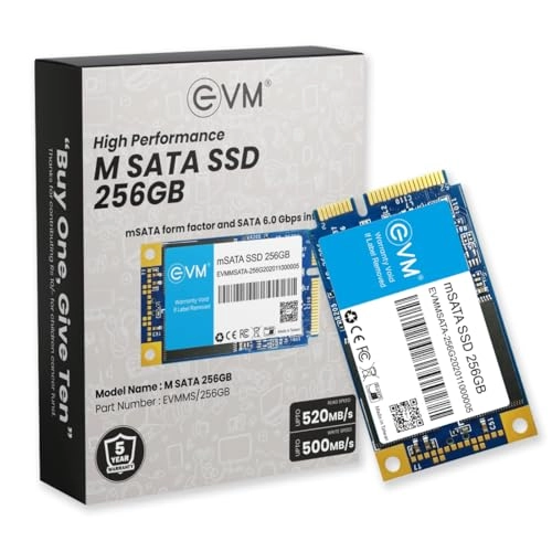 EVMMS - 256GB mSATA