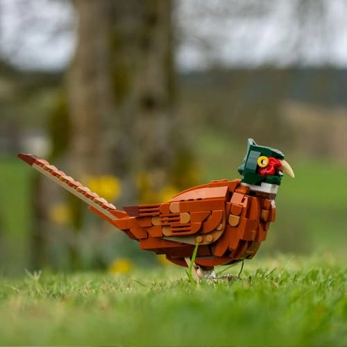 Bird Building Set - Pheasant 204 pcs