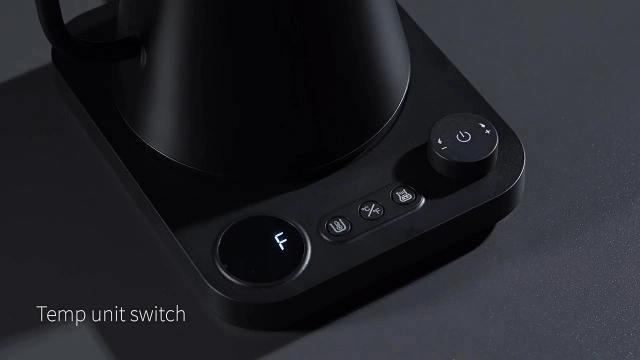 Gooseneck Electric Kettle