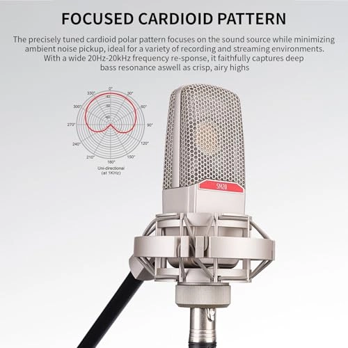 Studio Condenser Microphone XLR Microphone