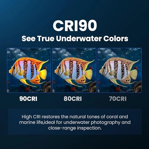 SD11 - 5000 Lumens IPX8 Waterproof