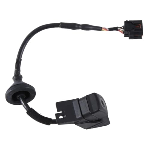 Backup Camera - Night vision