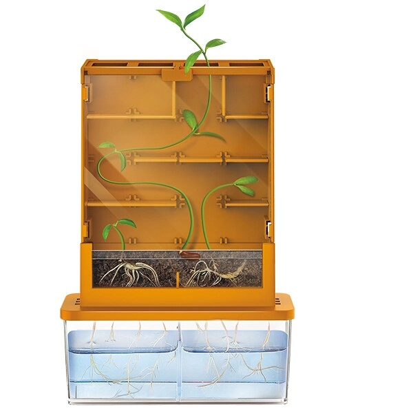Grow- A-Maze Plant Biology - 3 years+