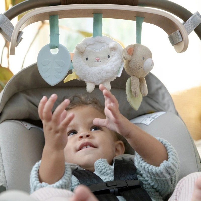 Soothing Essentials Carrier Toy Bar - 0 month & above