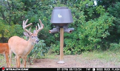 Deceptor - 40MP + FieldMax Lithium Rechargeable Battery Cartridge