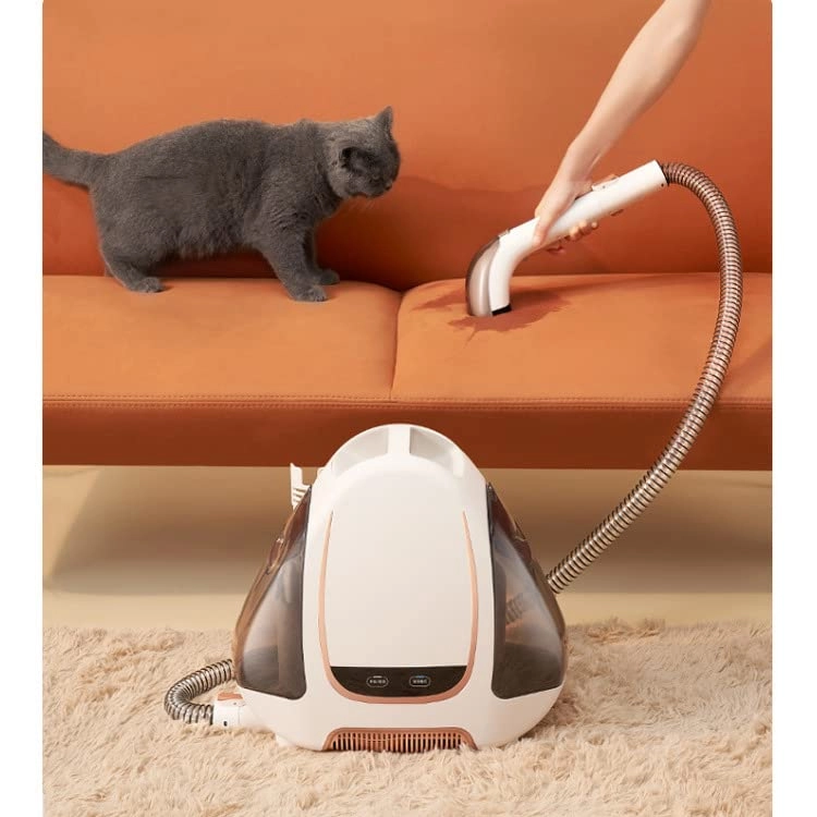 Portable Carpet Cleaner
