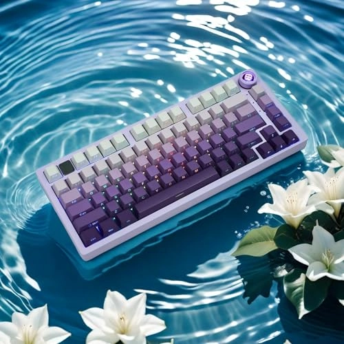 WomierPBT - US and UK wireless