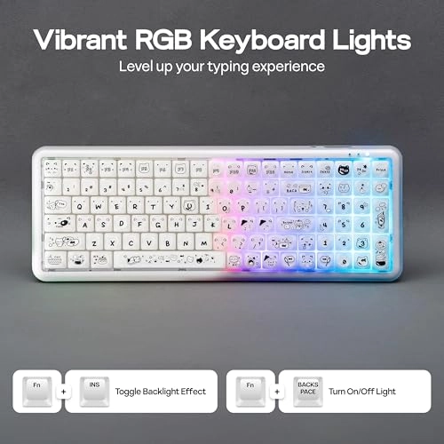 X100 PRO - US Wired/Wireless