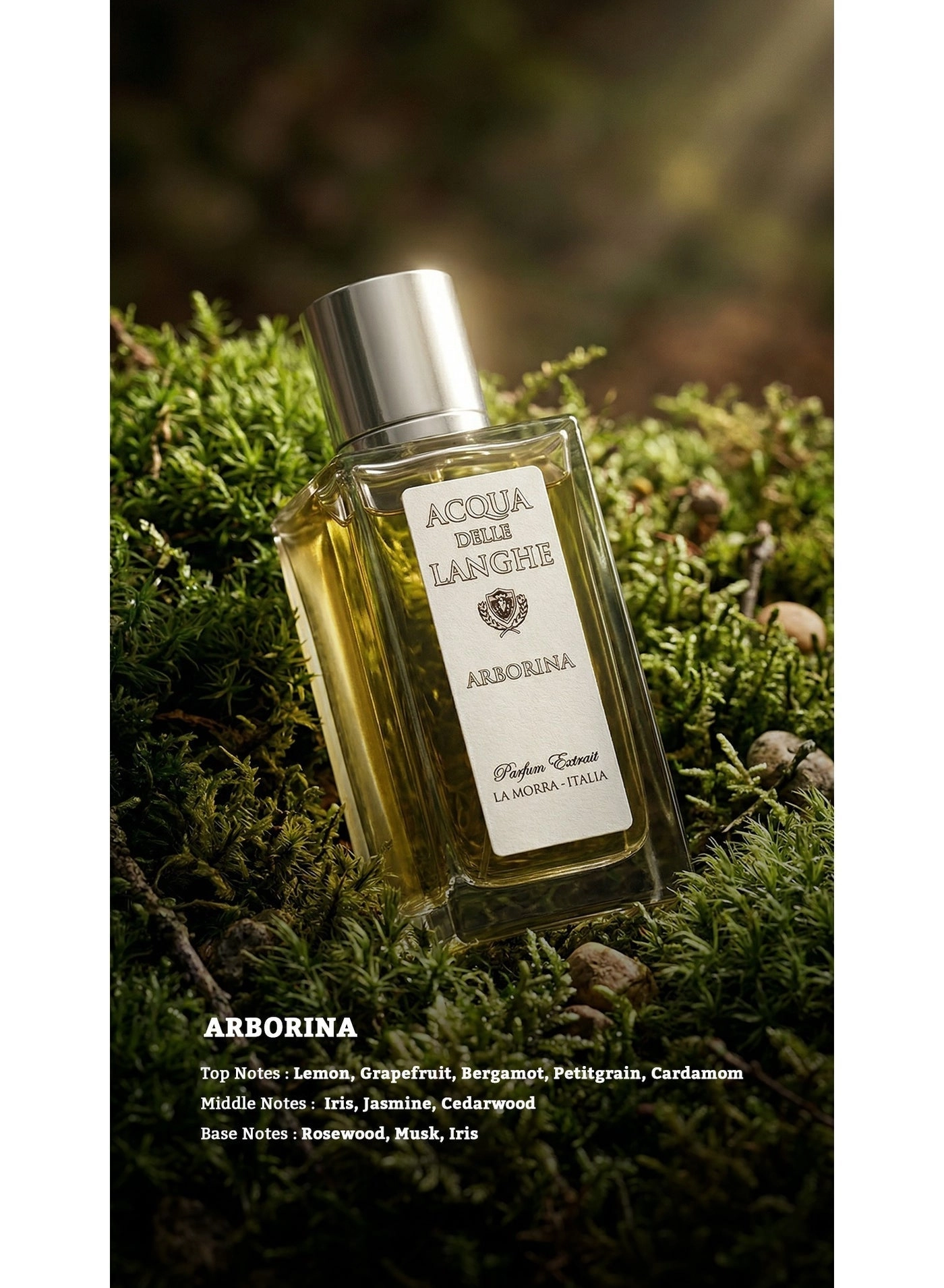 Arborina - Eau de Parfum 100 ml