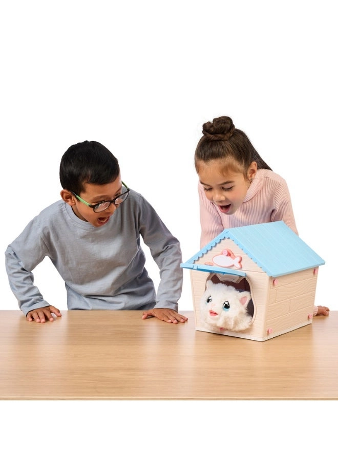 My Kitty's Home - 5 years+