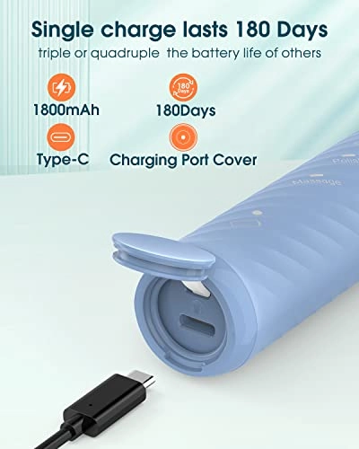 Y01 - 6 Brush Heads Type C 180 Days