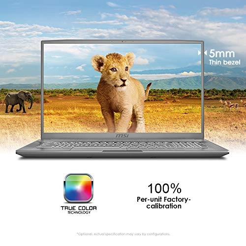 Creator 17M A10SE-216 - 17.3'' Core i7-10750H 16GB DDR4 1000GB SSD