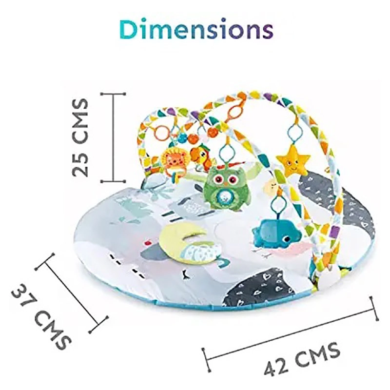 Baby Play Mat Activity Gym - 2 months