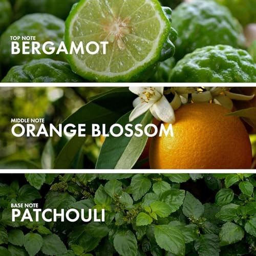 ORANGE PATCHOULI Eau de Parfum 50ml