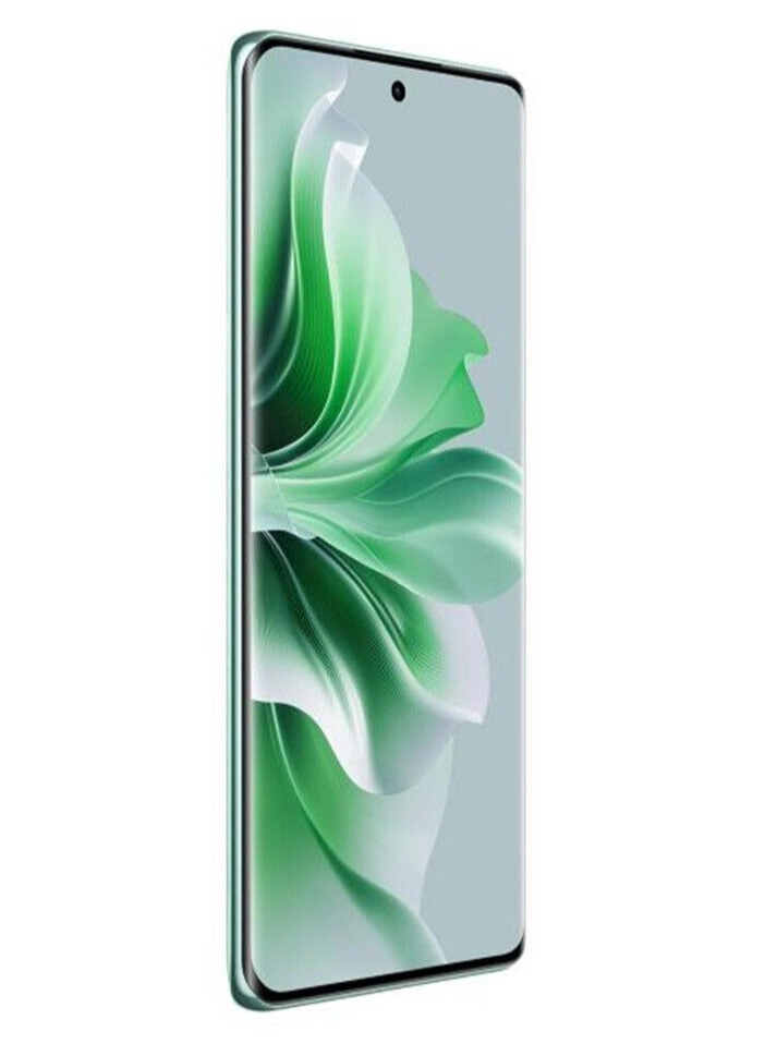 Reno 11 - 12GB 512GB