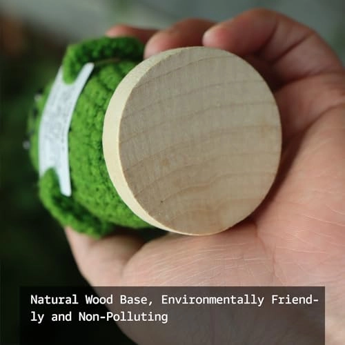 Emotional Support Pickle - Birthday, Christmas, Friendship Day, Some special days, Various decorative occasions