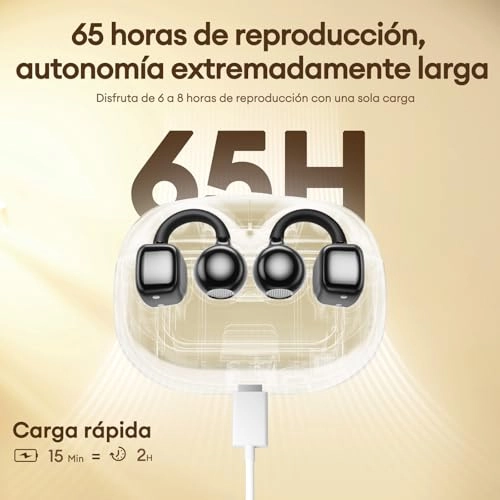HY-C02 Wireless Earbud