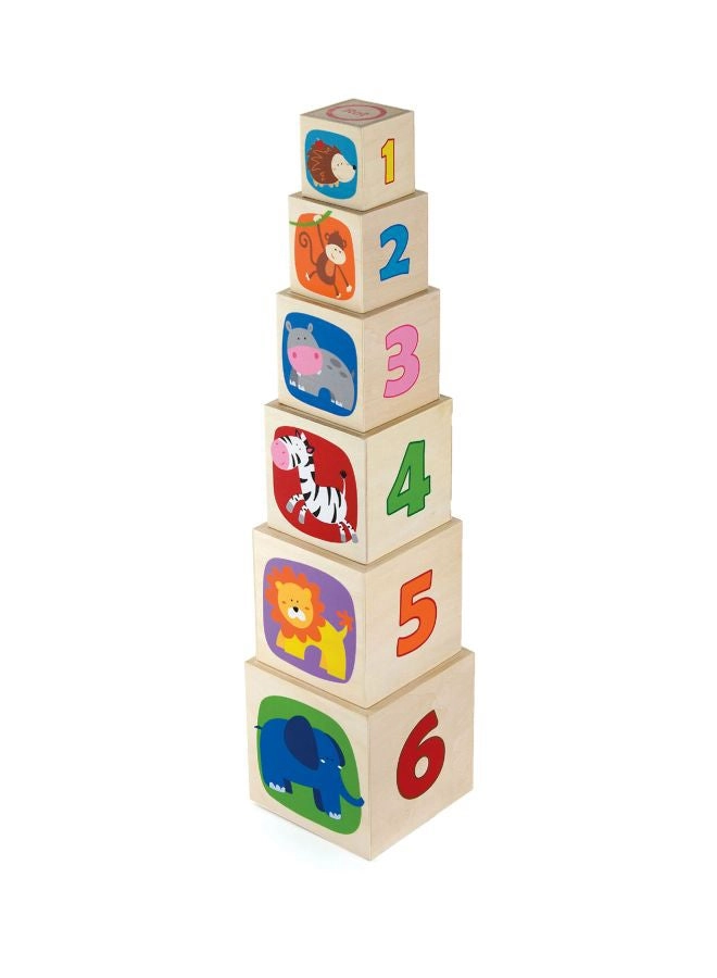 Nesting & Stacking Blocks - 6 pcs