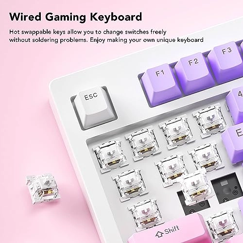 vb97s0okie - Wired/Wireless