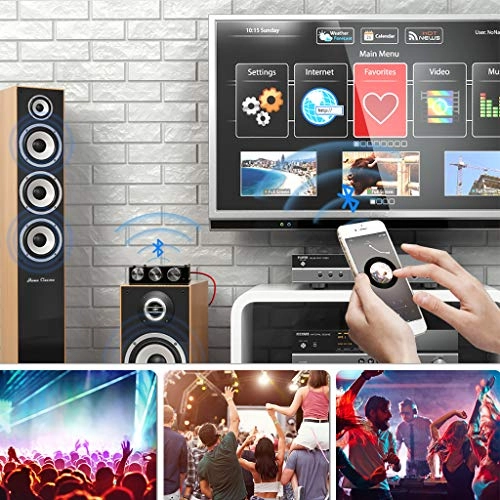 ZK-1002T - 2.0CH 100W*2