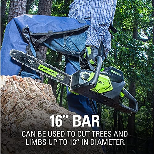 CS80L01 - 80V 16" Brushless