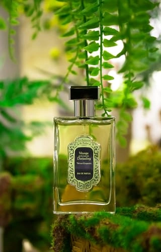 Thé-vert gingembre - Eau de Parfum 100ml