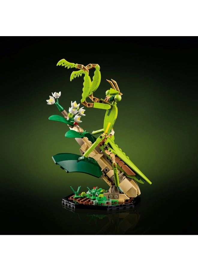 Ideas The Insect Collection (21342)