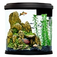 Fish & Aquatic Pet Supplies