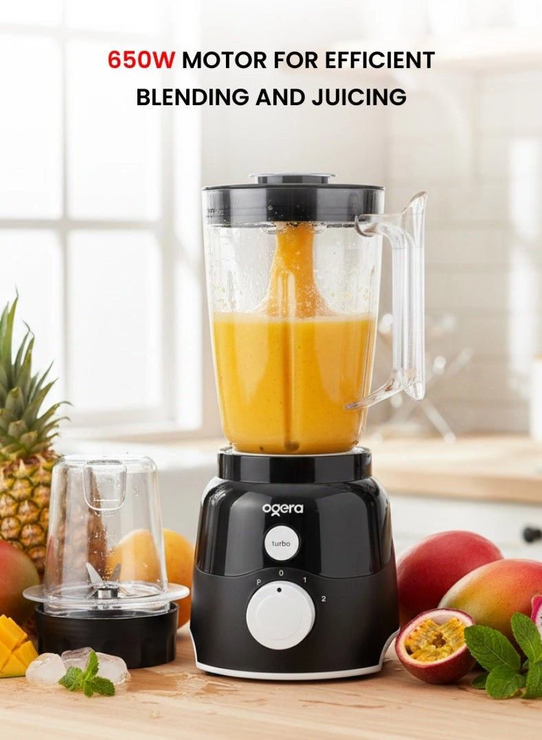 OG5104BR - 650 watts 2 Liters