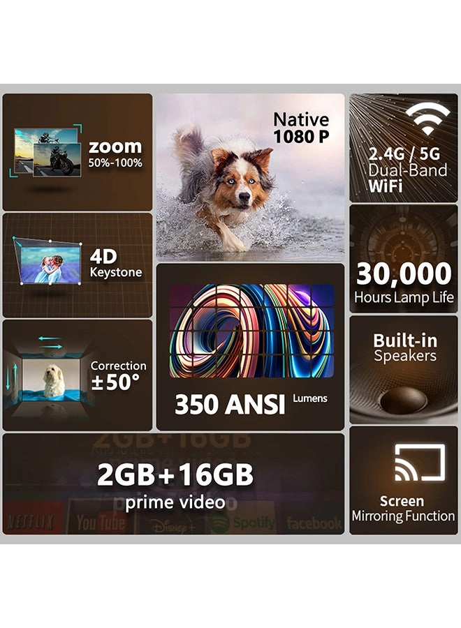 Y9 PROJ-WO-80-AN 350 ANSI Lumens