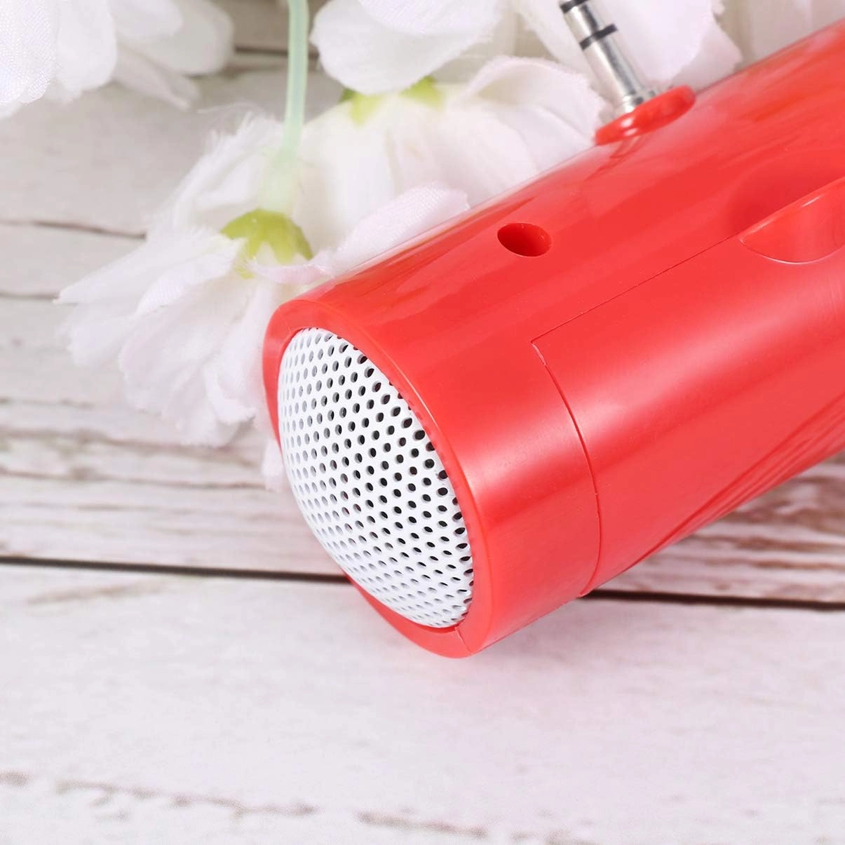 Mini Portable Speaker - 2W