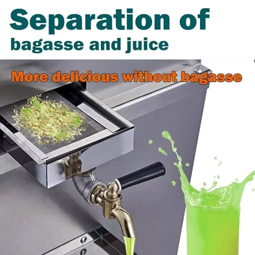 Sugarcane Juicer - 1100W