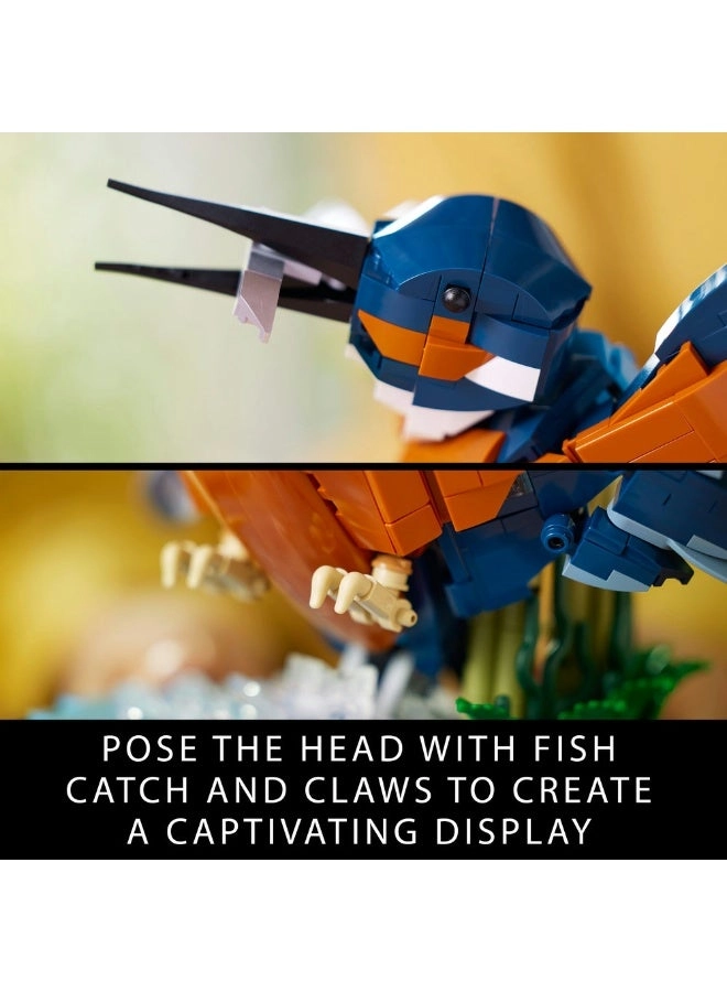 Icons Kingfisher Bird (10331)