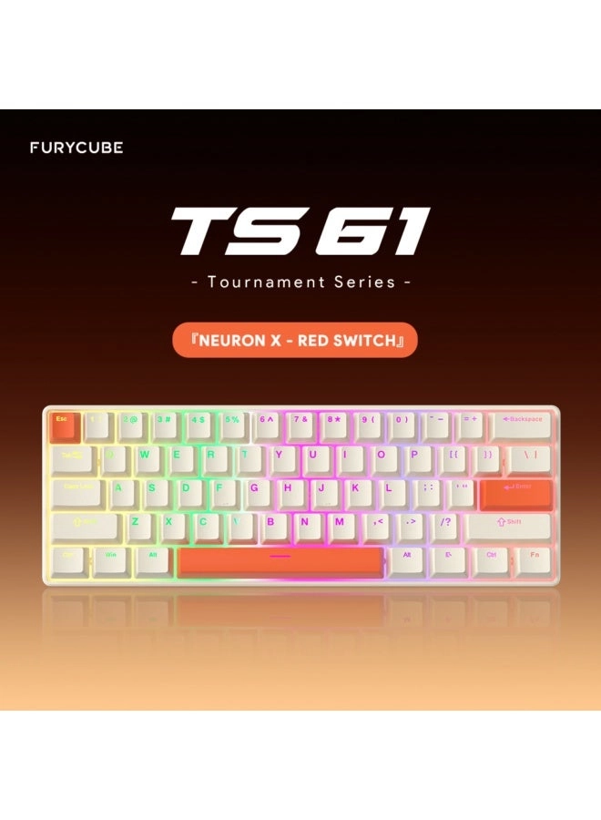 FURYCUBE TS61 - 61-Key Wired
