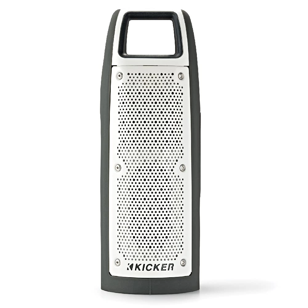 Kicker Bullfrog BF100