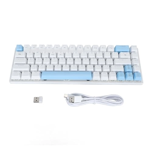Mechanical Keyboard - Wired/Wireless