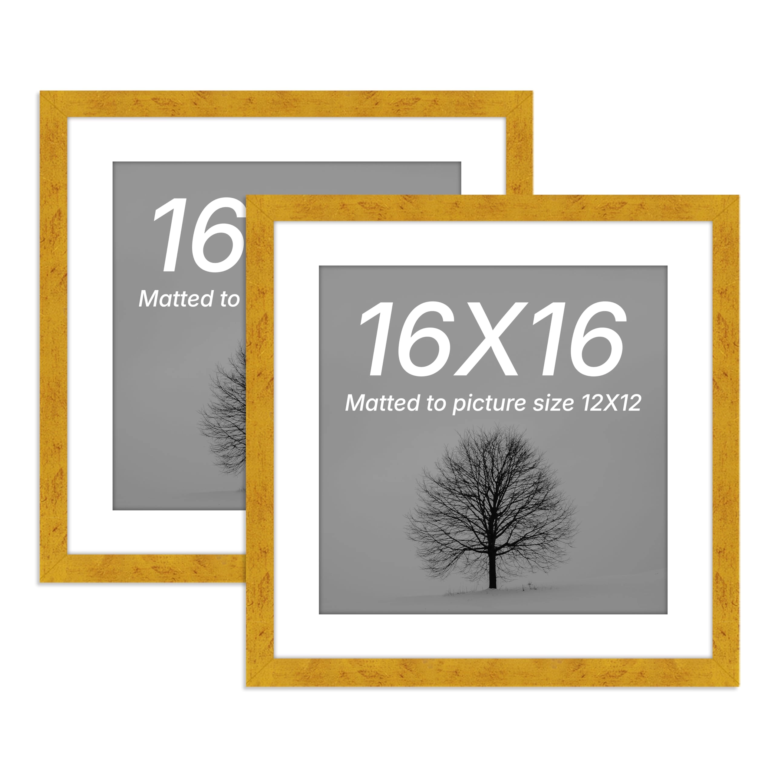 Edge Square, Edge Square Document Frame - 40.6L x 40.6W Centimeters