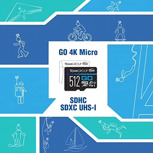 GO Card - 256GB