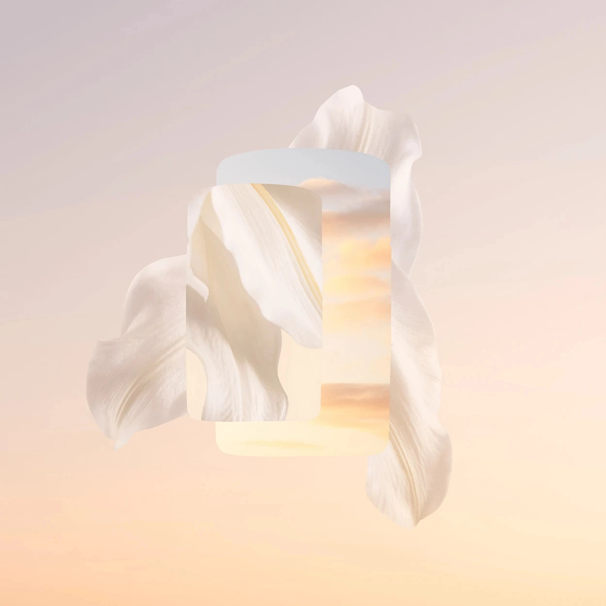 Baiser Vole Eau de Parfum 100ml