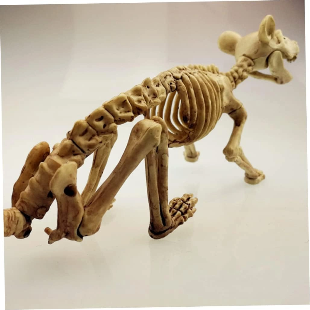 Rat Skeleton - Plastic
